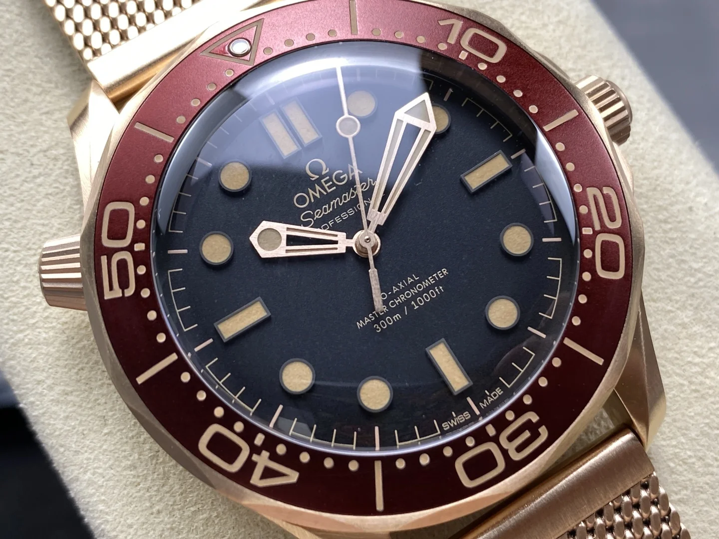 Luxury Watch Physical Display