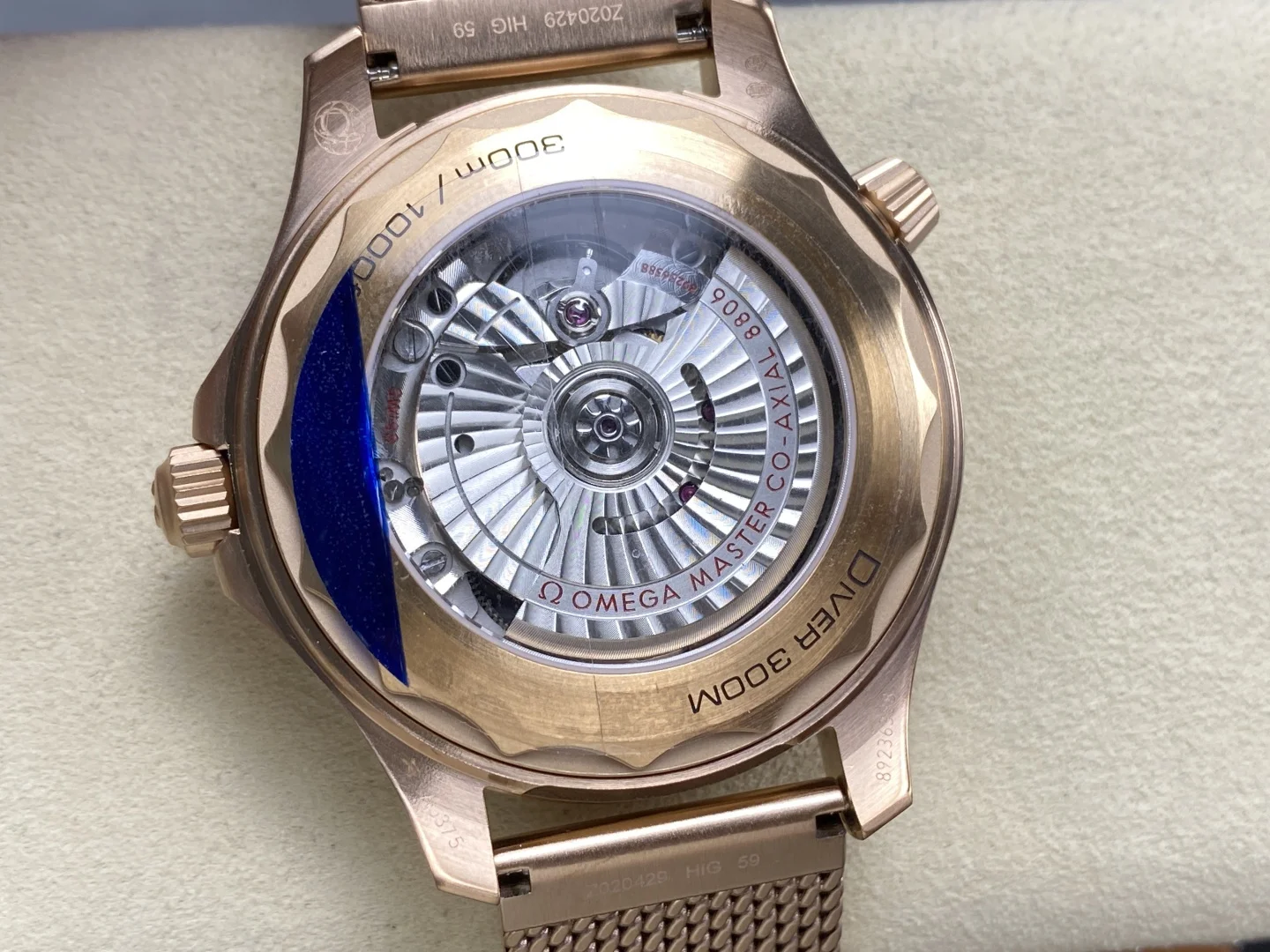 Luxury Watch Physical Display