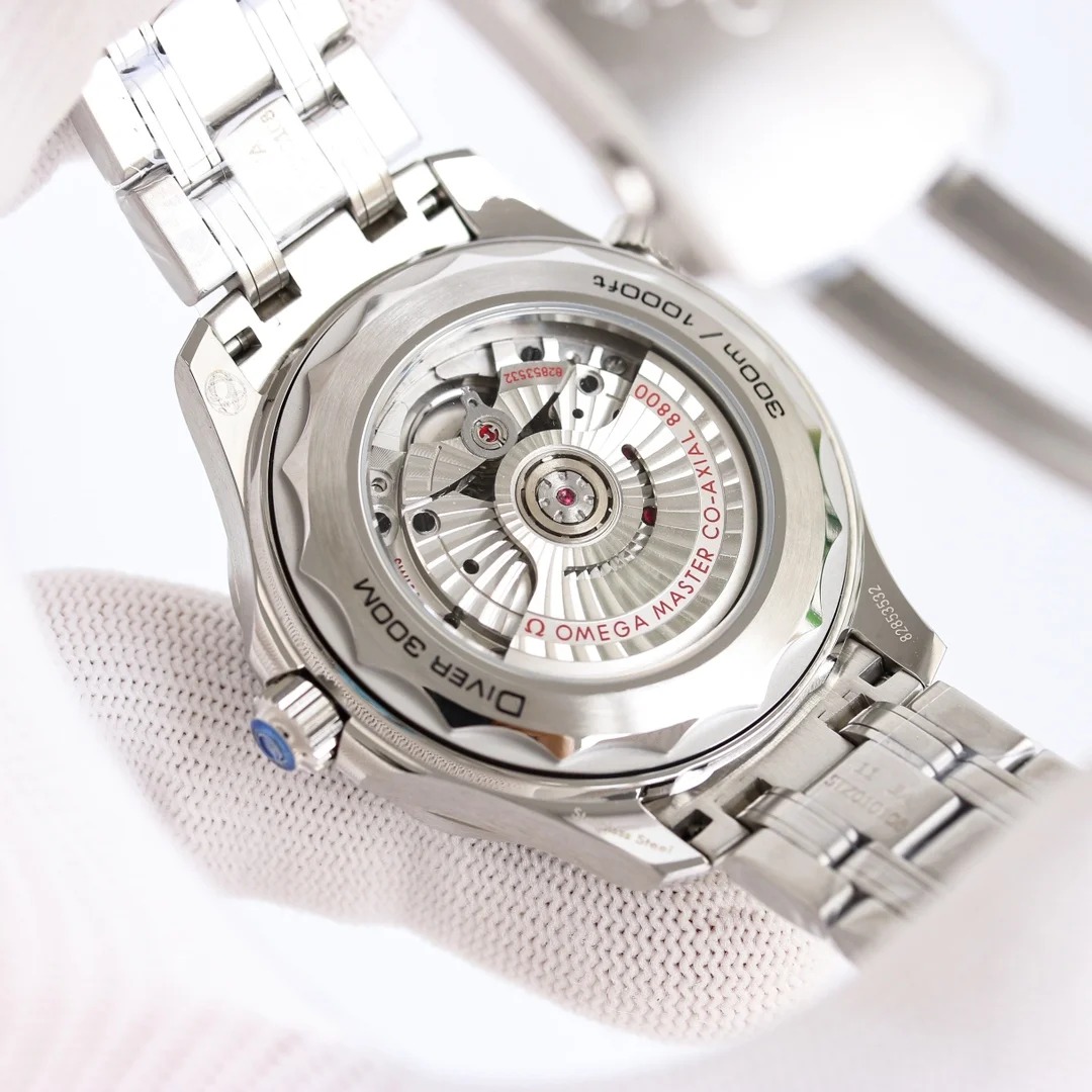 Luxury Watch Physical Display